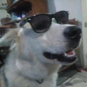 Meet your Posher, Skylar